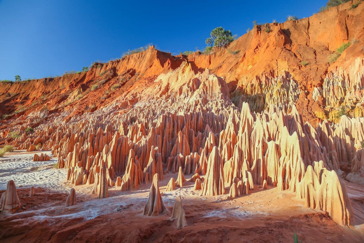 Exclusive Escape: Nosy Be & Northern Madagascar (14Days - 13Nights)