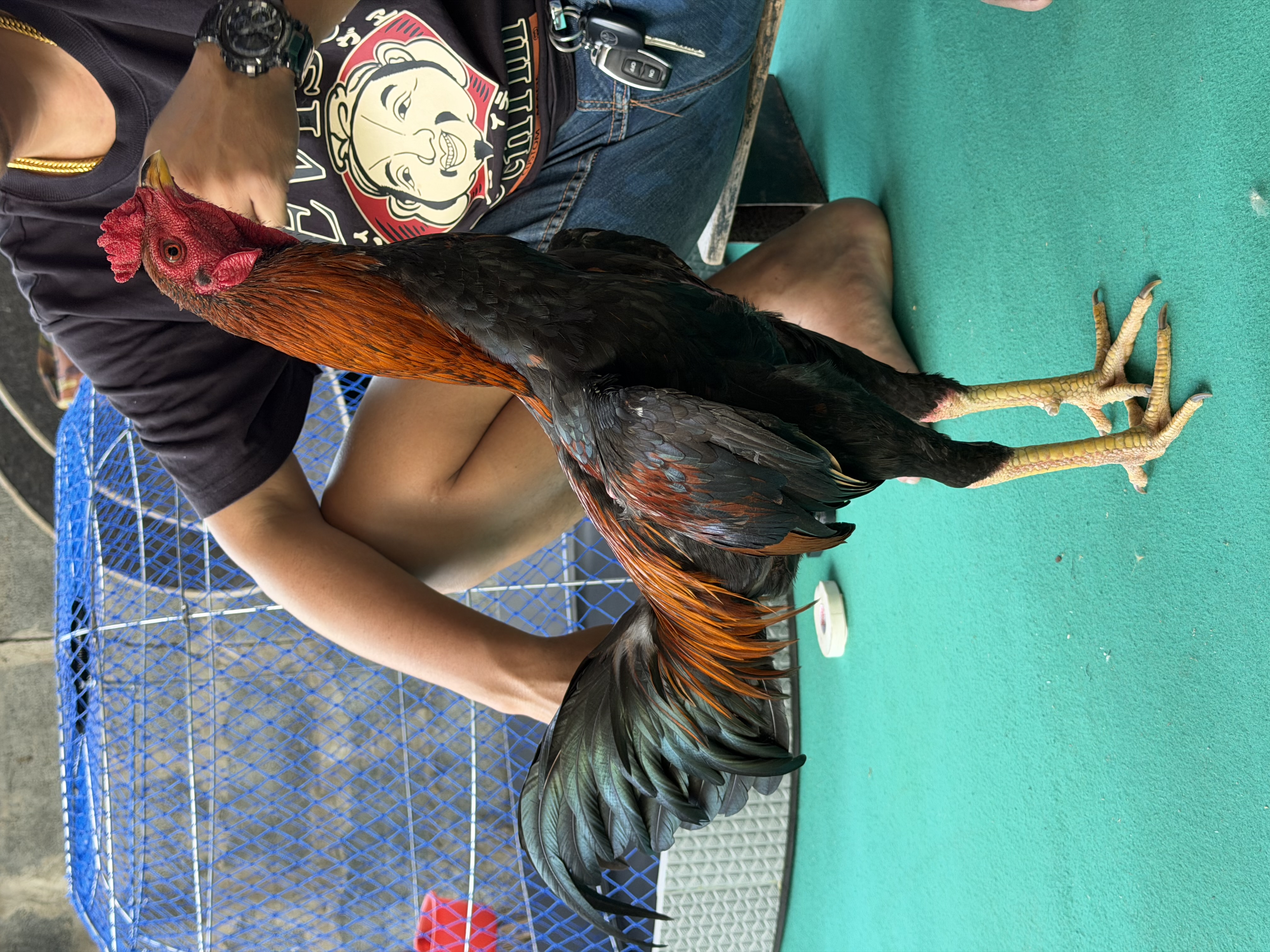 ลูกเยีย์ กิเลนไฟ 001