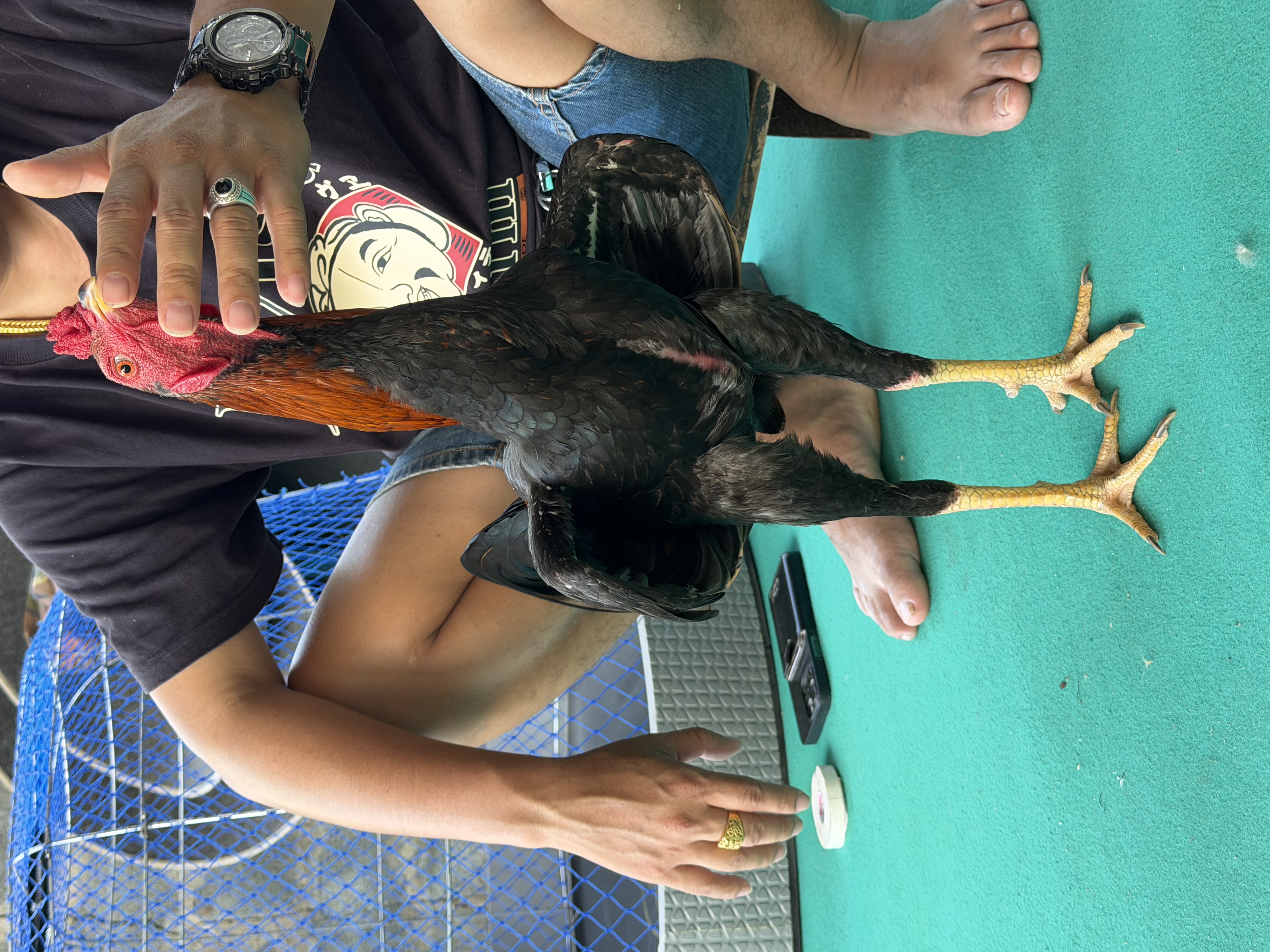 ลูกเยีย์ กิเลนไฟ 001