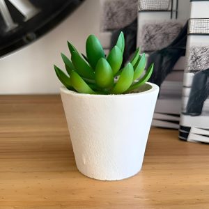 Suculenta en maceta blanca