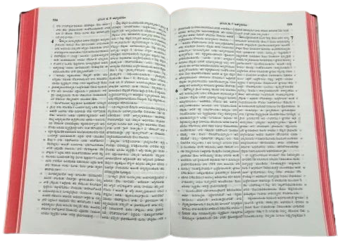 Telugu Holy Bible