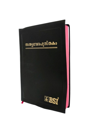 Malayalam Holy Bible