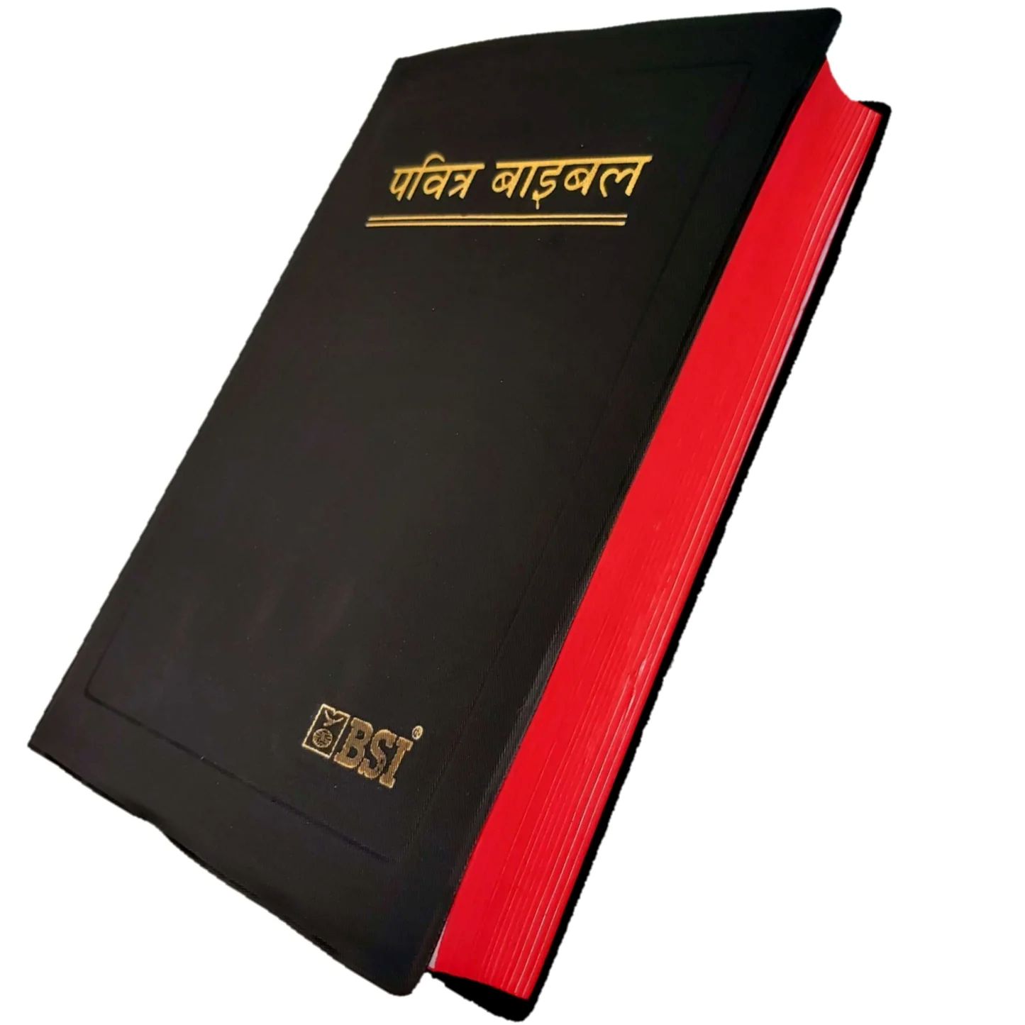 Holy Bible (Hindi)