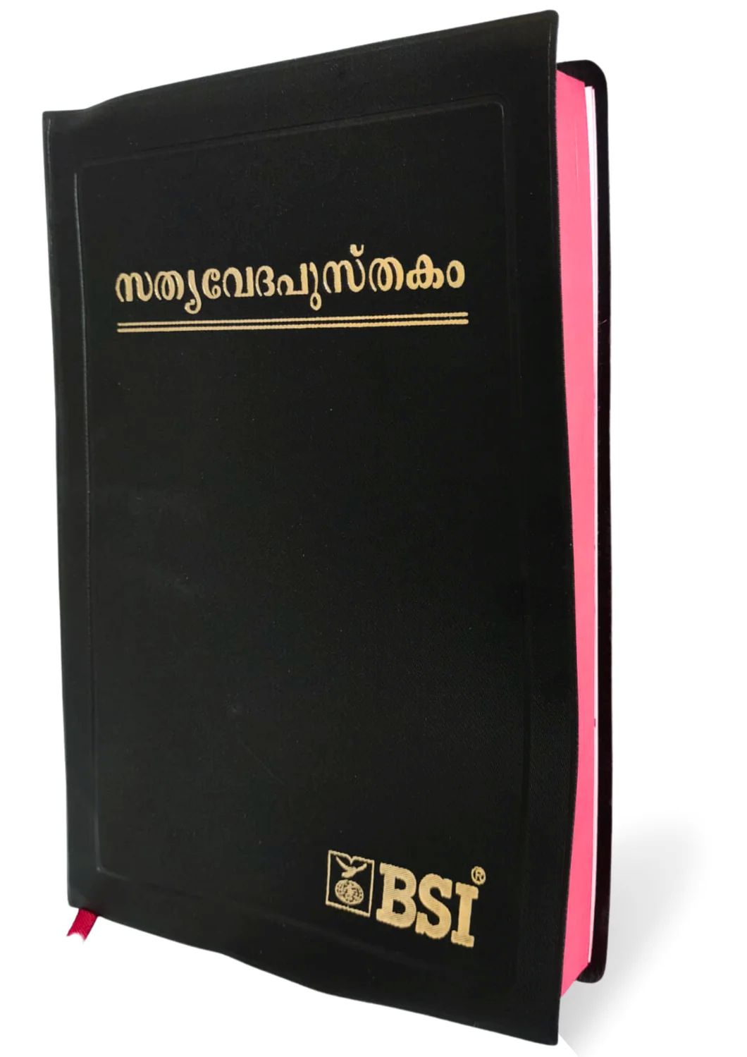 Malayalam Holy Bible