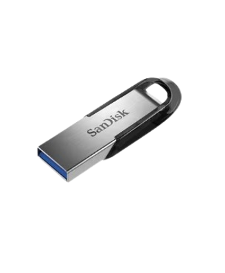 SanDisk USB 3.0 Flash Drive