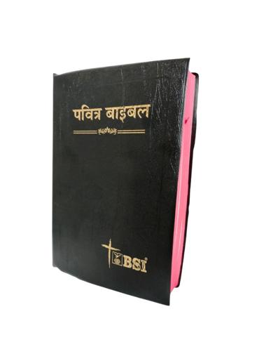Holy Bible (Hindi)