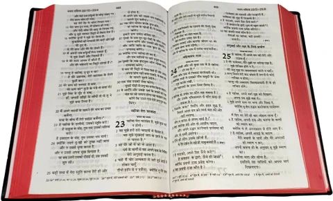 Holy Bible (Hindi)