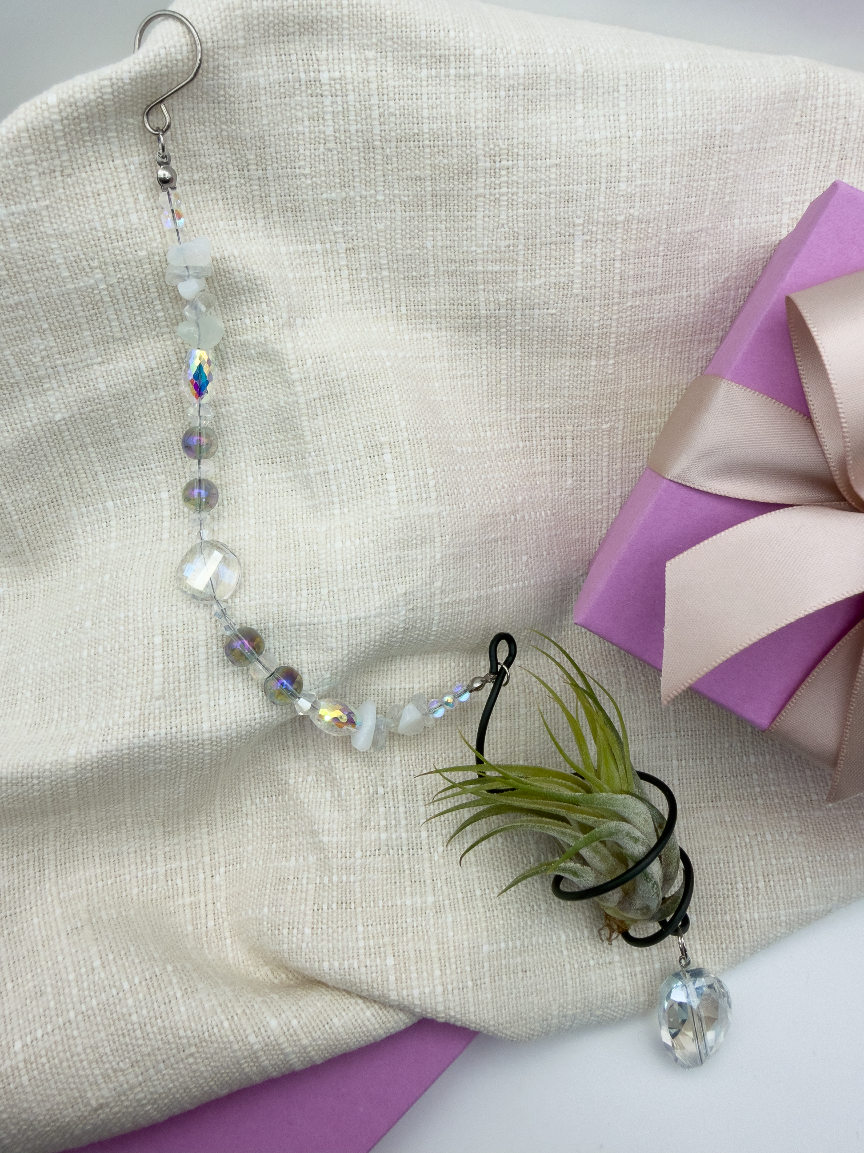 Air Plant Suncatcher