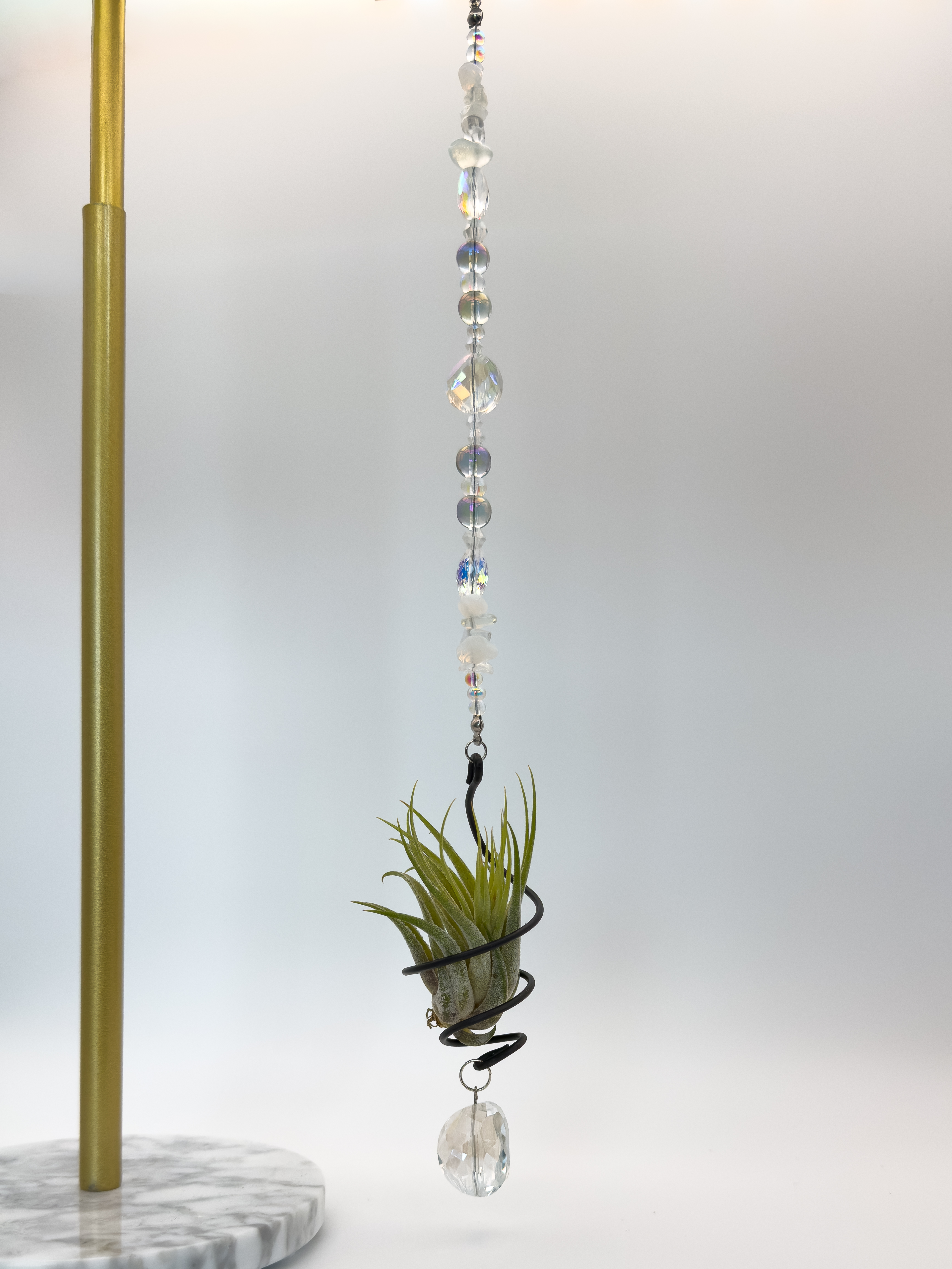 Air Plant Suncatcher