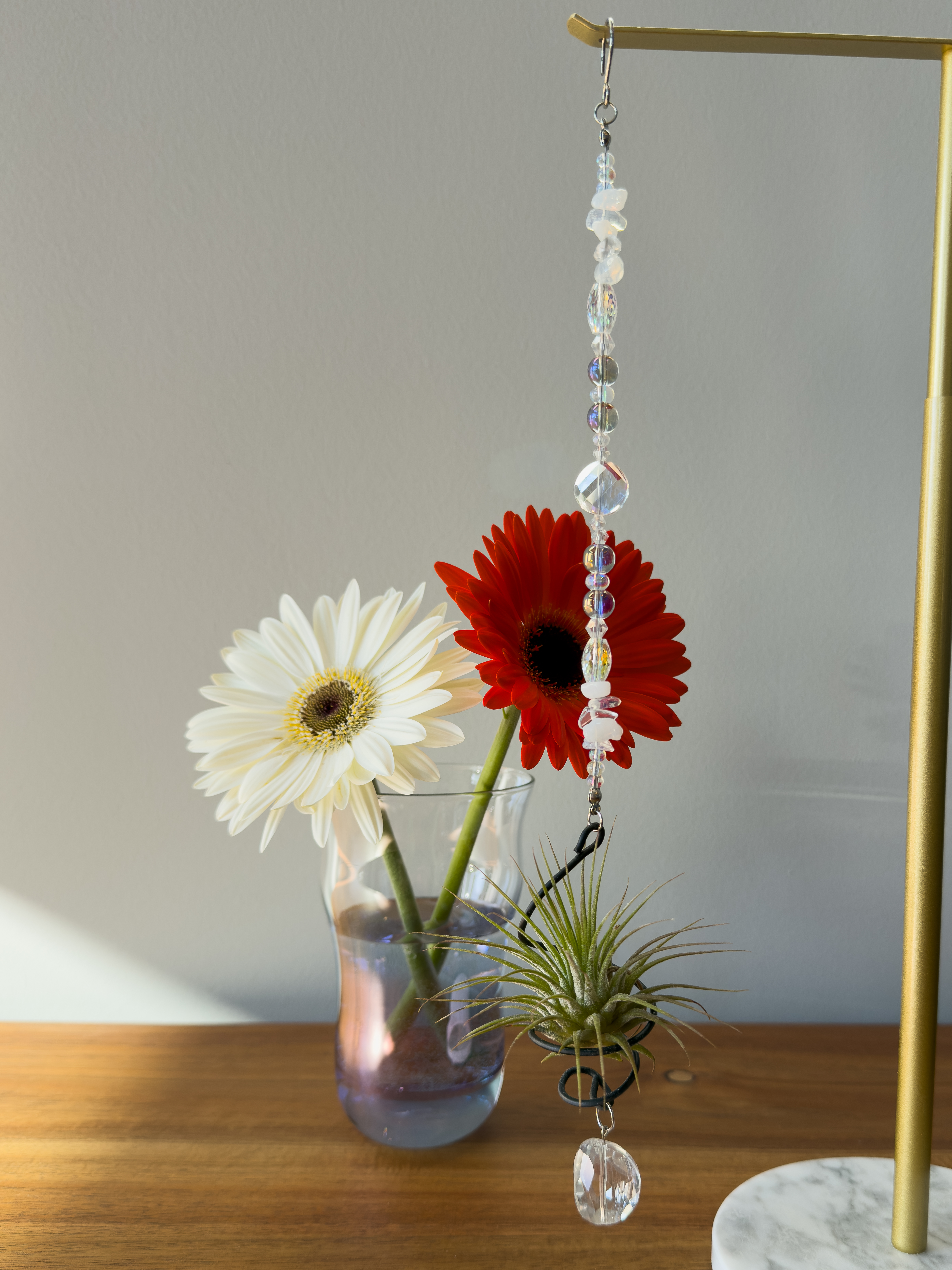 Air Plant Suncatcher