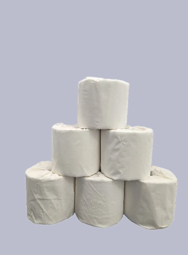 2-PLY ANGEL SOFT TOILET PAPER
