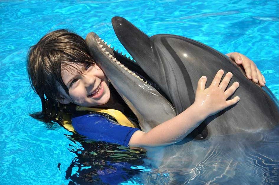 WELCOME TO DOLPHIN WORLD EGYPT