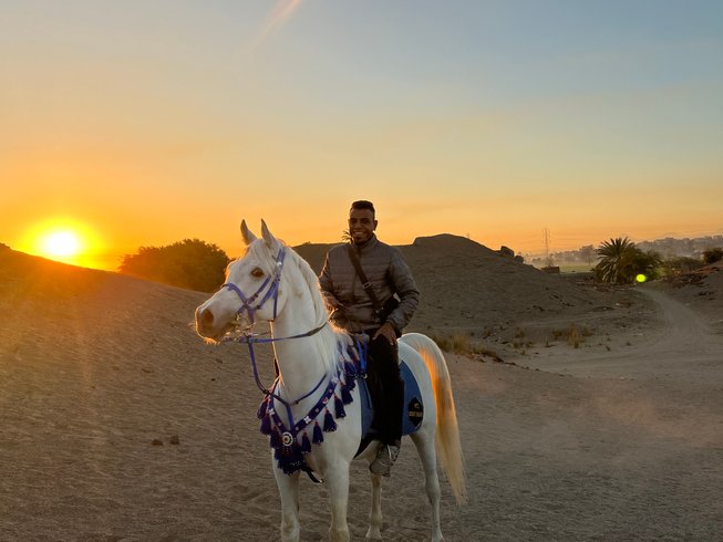 Horse Riding Experience in Luxor