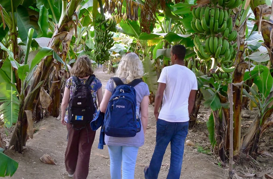 Nile Boat Trip & Banana Island Tour – Luxor