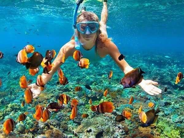 A Perfect Snorkeling Day Trip in Hurghada