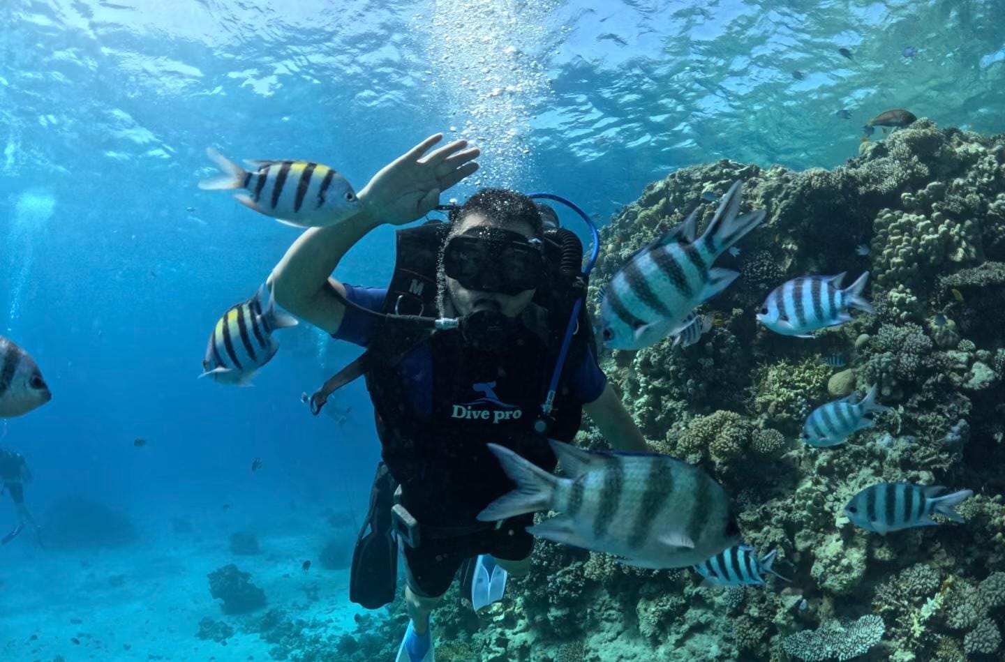 Diving Excursion in Hurghada 
