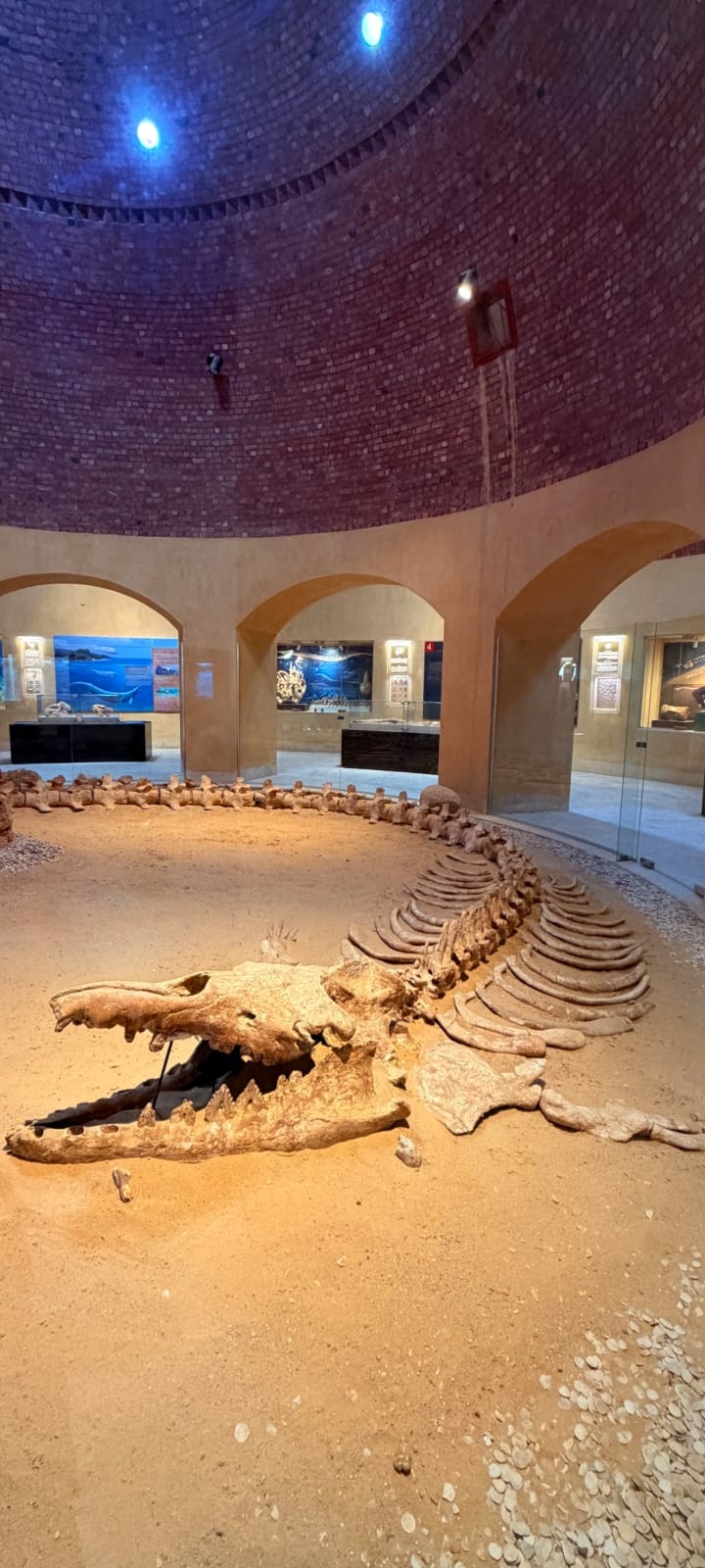 Day Trip to Wadi El-Hitan, Wadi El-Rayyan & Al Fayyom Oasis