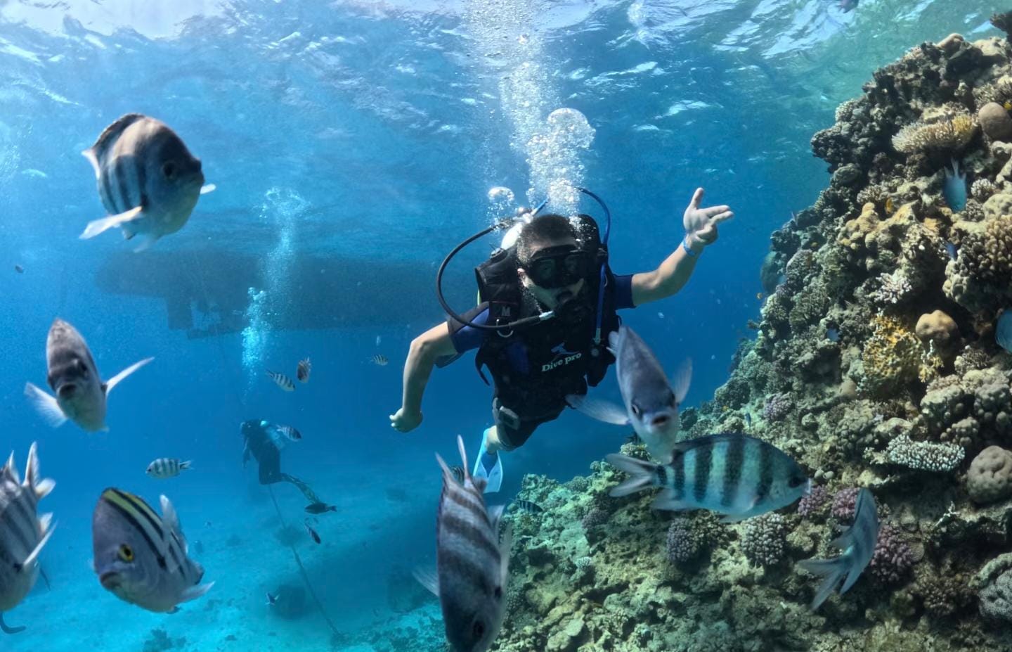 Diving Excursion in Hurghada 