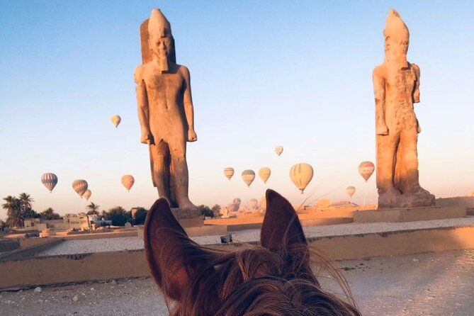 Horse Riding Experience in Luxor