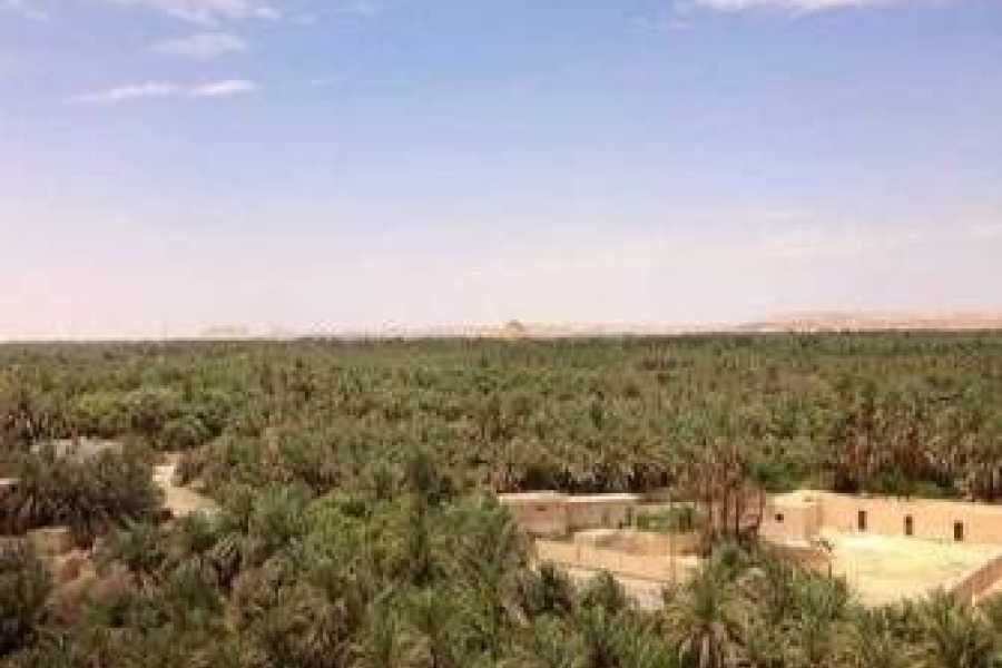 3 Day trip to Bahariya Oasis and white desert from luxor