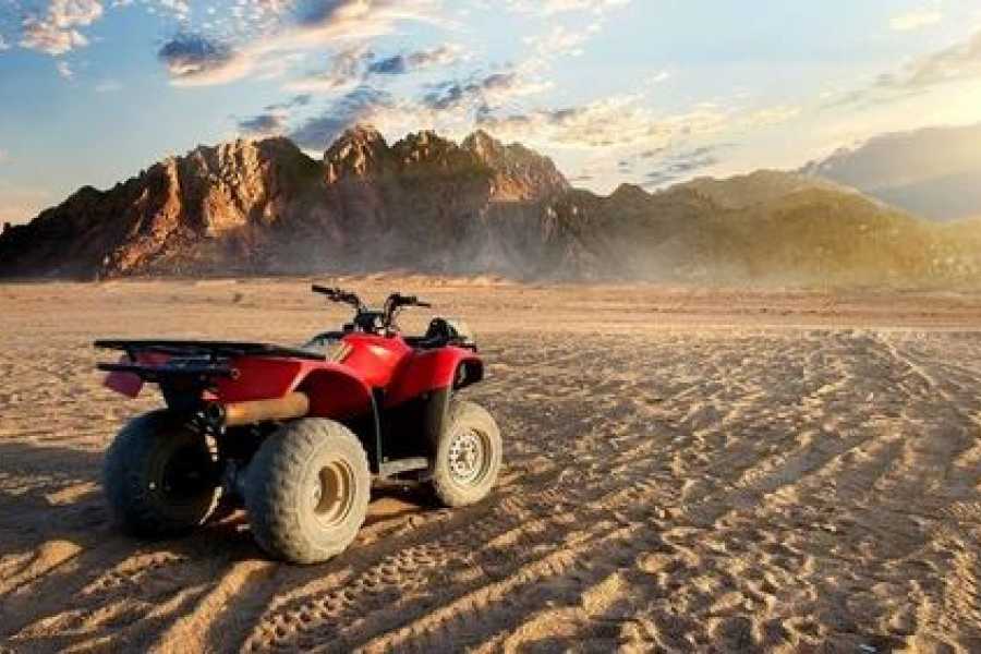 Desert Safari Adventure – Luxor