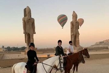 Horse Riding Experience in Luxor