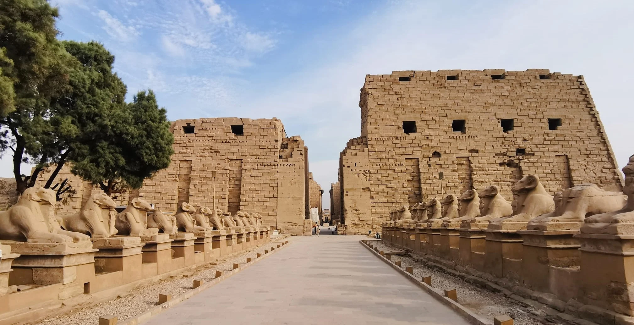 A private half-day tour of Karnak and Luxor Temples