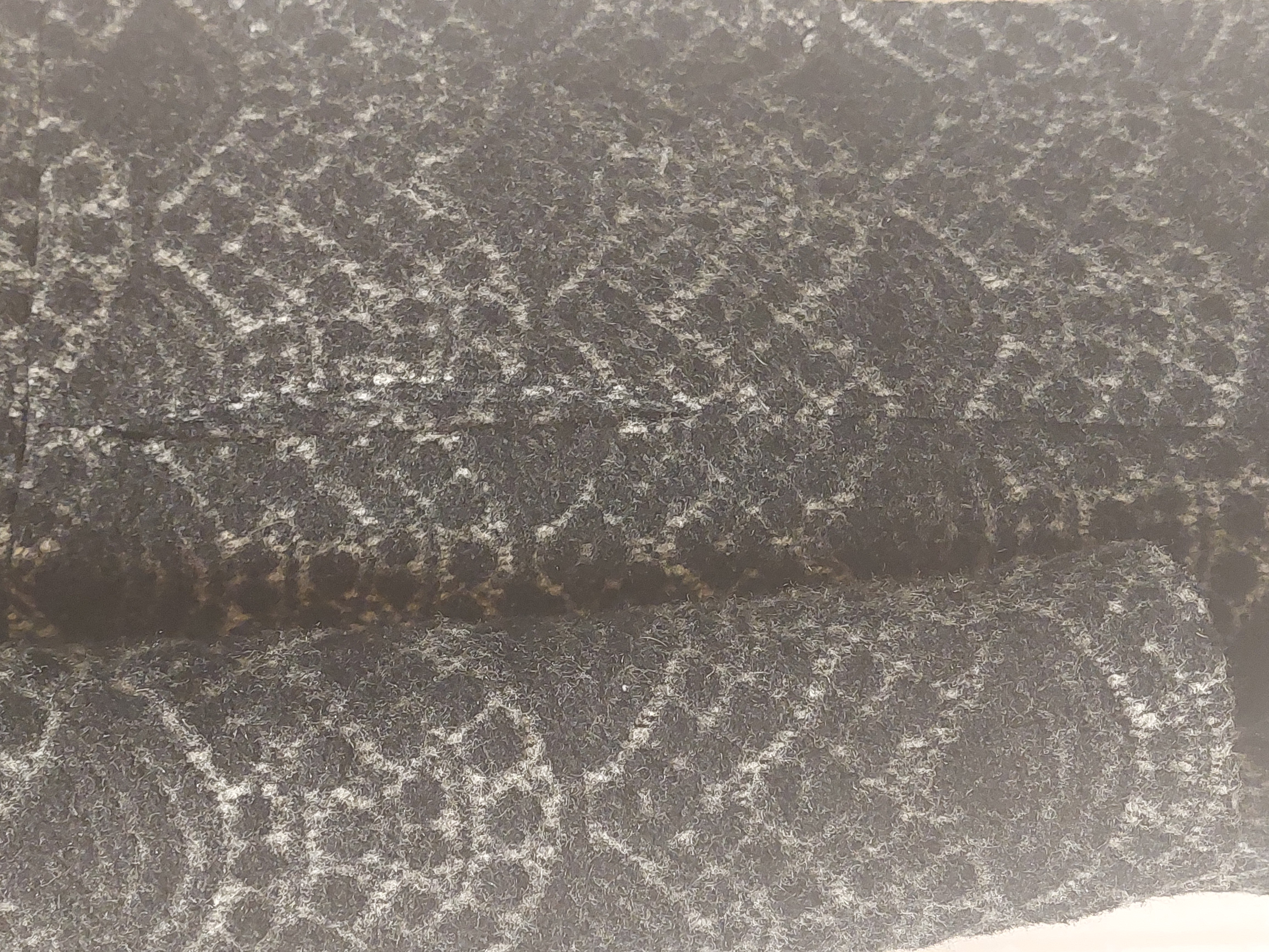 Manteau Fracomina