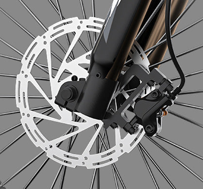 Diskinių stabdžių rotorius Ridingtimes