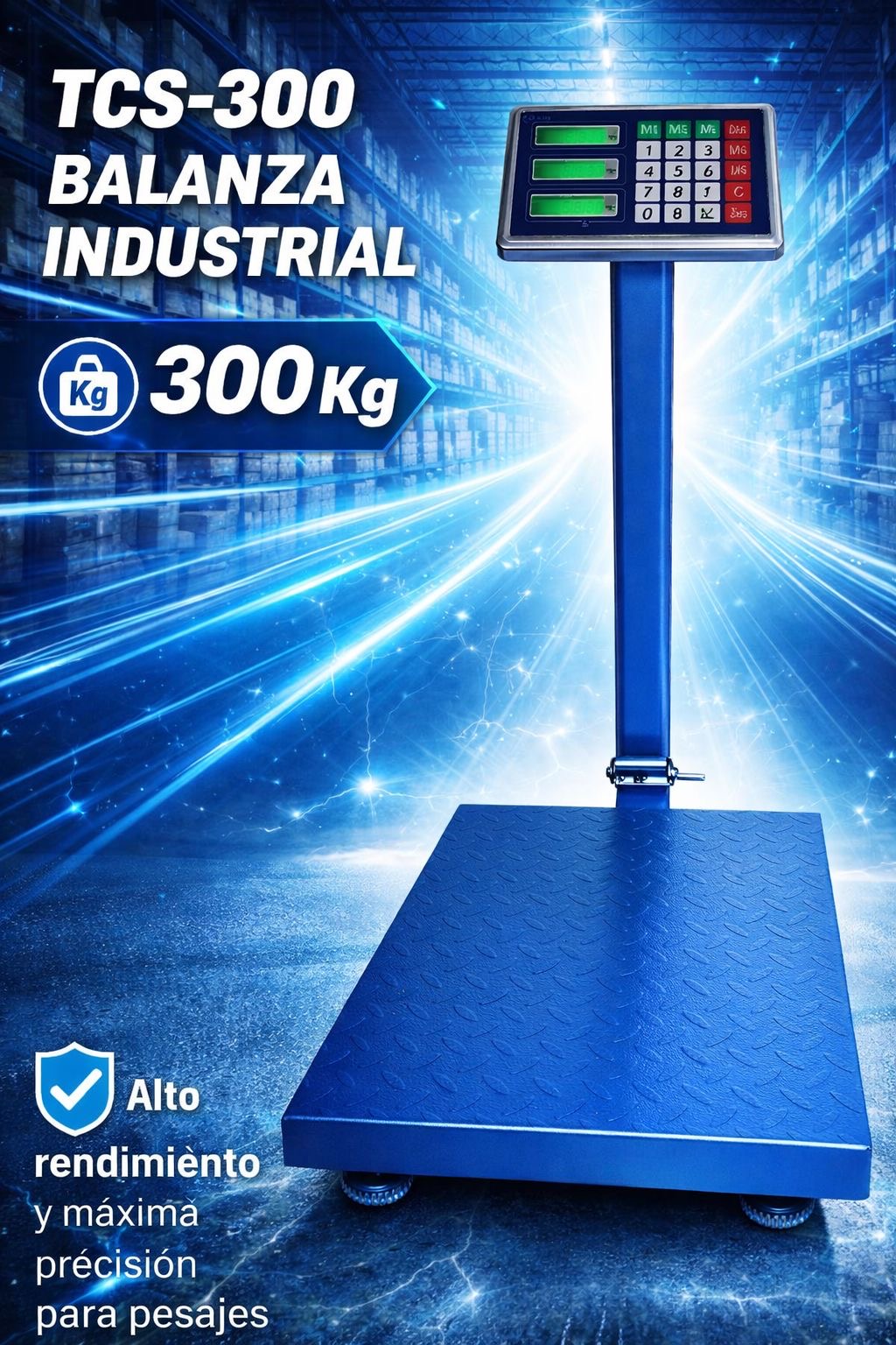 BALANZA INDUSTRIAL 300kg