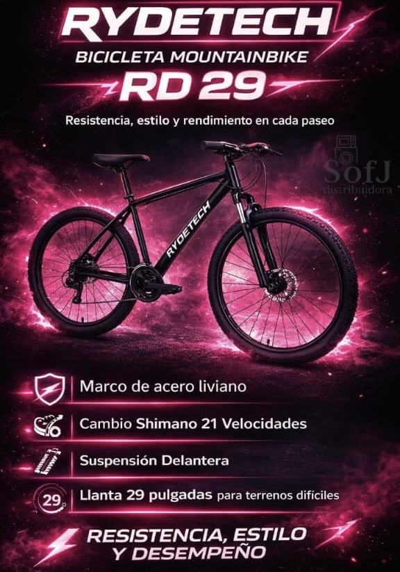 BICICLETA  MOUNTAINBIKE R29