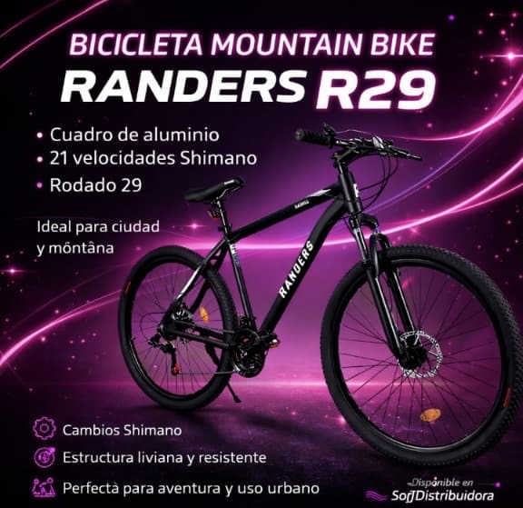 BICICLETA MOUNTAINBIKE R29