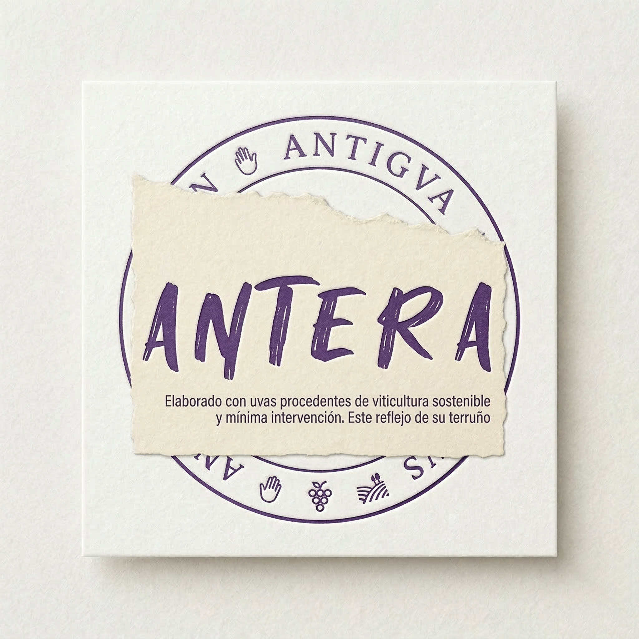 ANTERA
