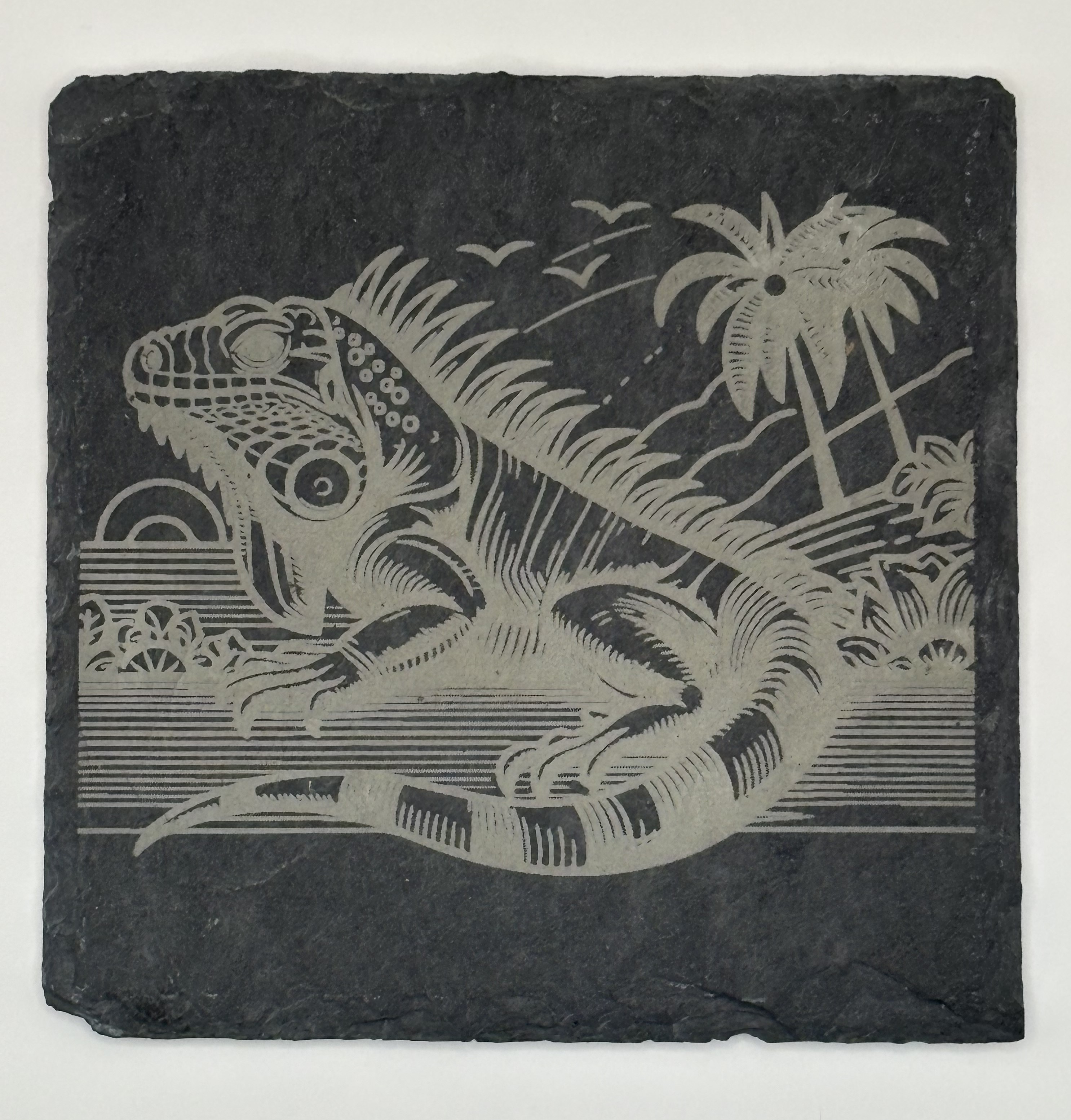 Wildlife series - Iguana Coasters (Slate, set of 4)