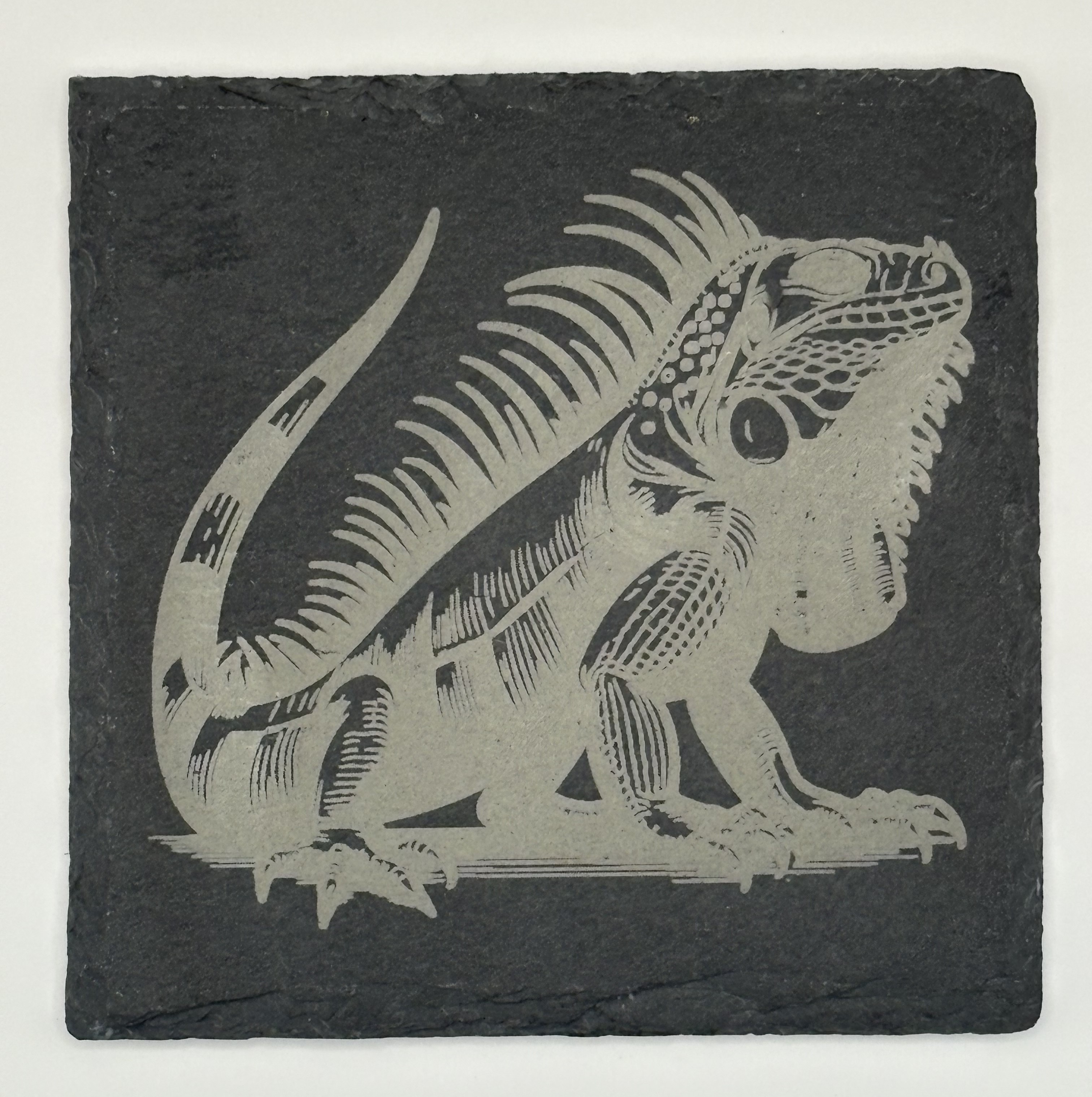 Wildlife series - Iguana Coasters (Slate, set of 4)