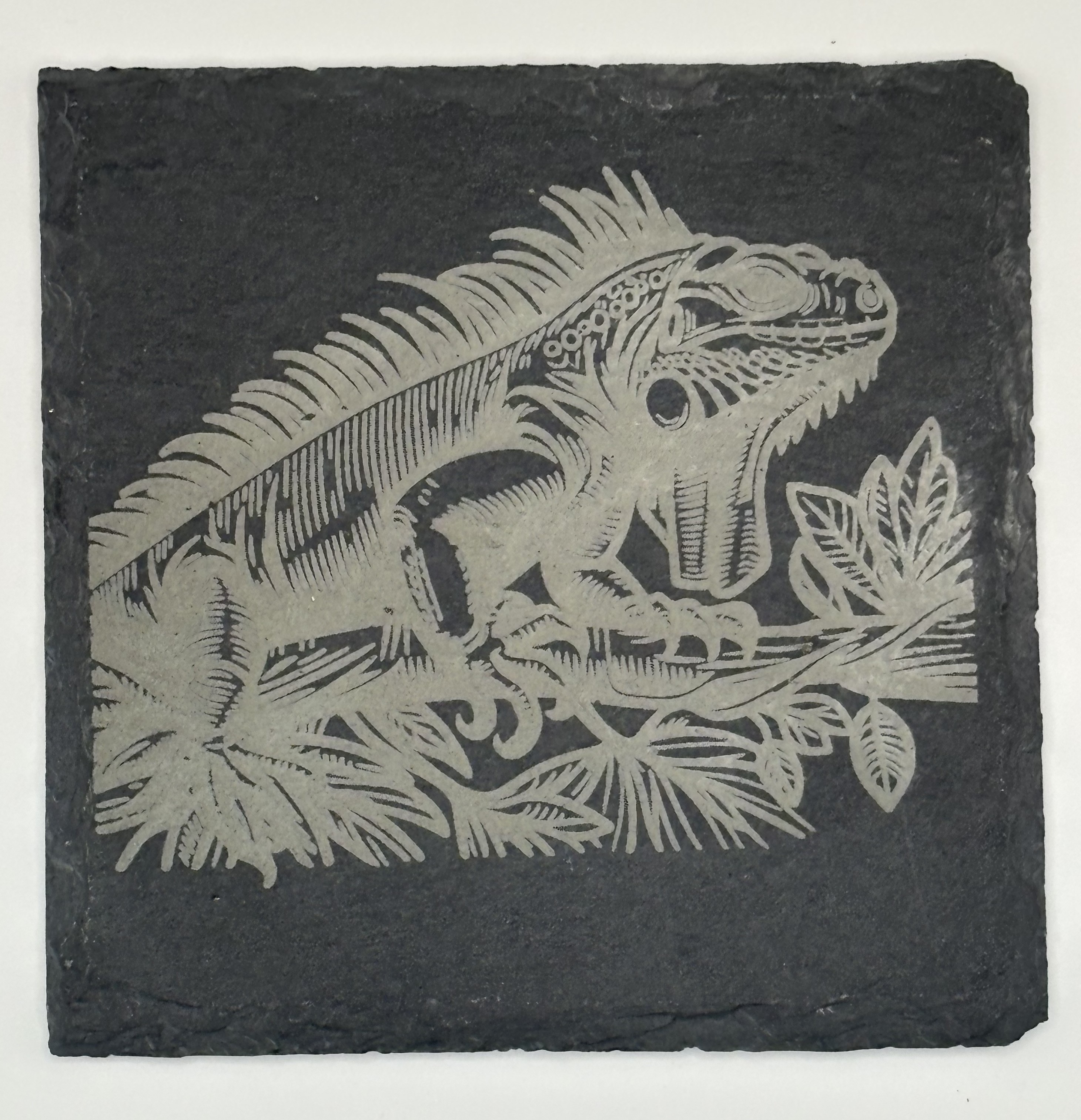 Wildlife series - Iguana Coasters (Slate, set of 4)