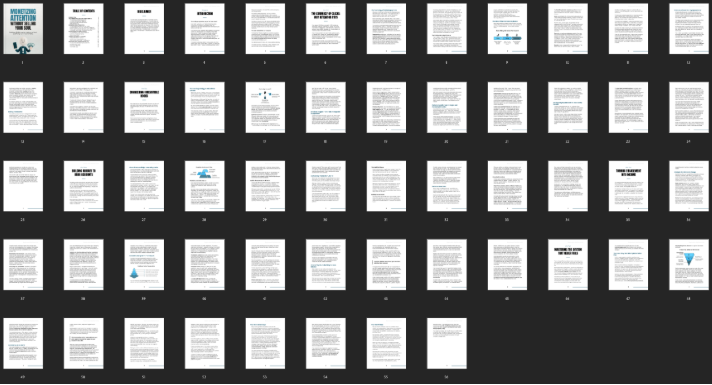 Attention that Pays: Turning Views into Income