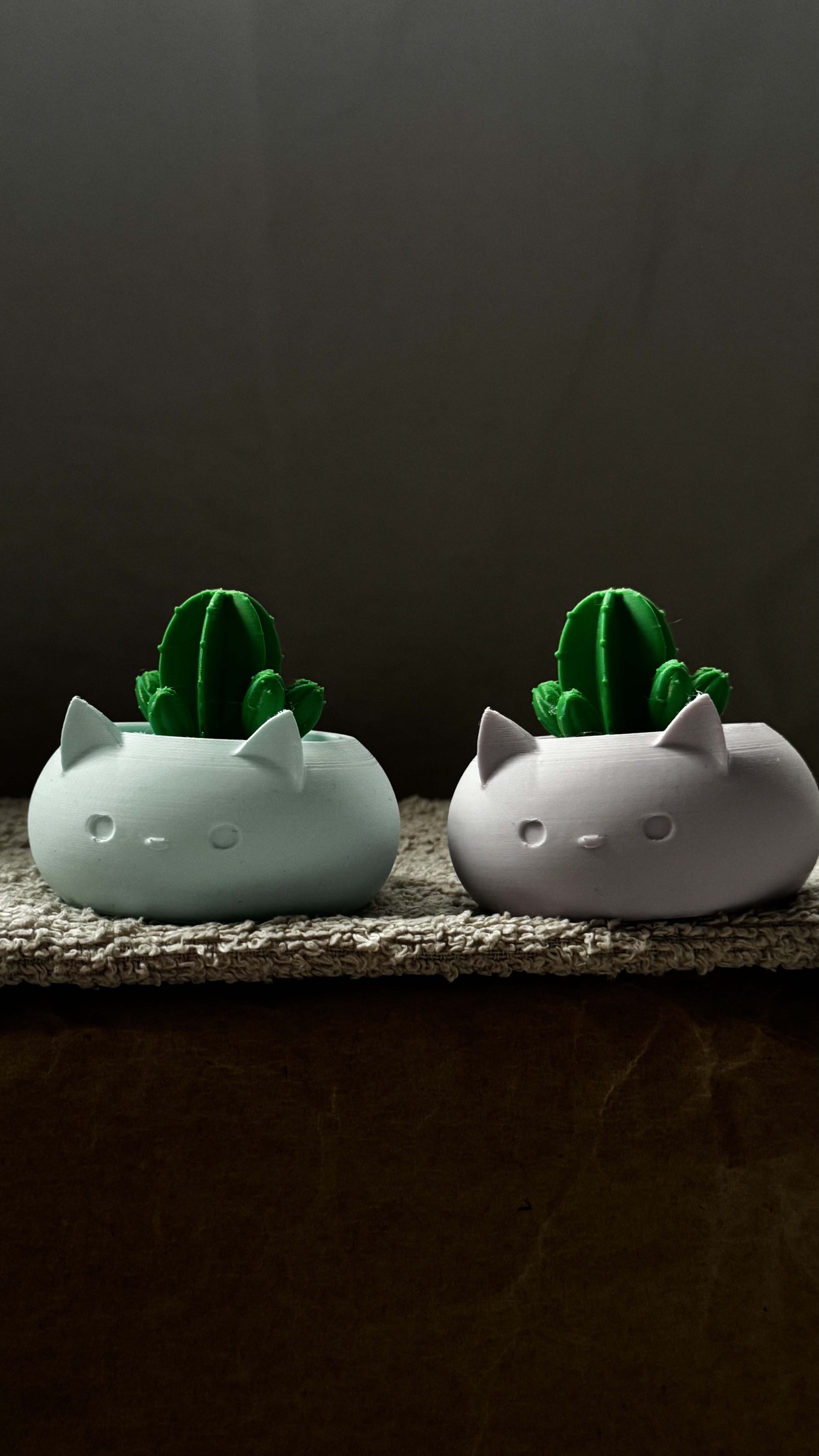 Maceta gatito con cactus