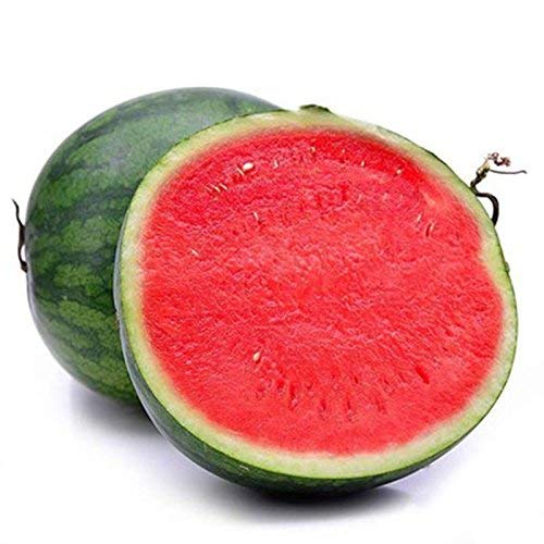 🍉 Seedless Watermelon