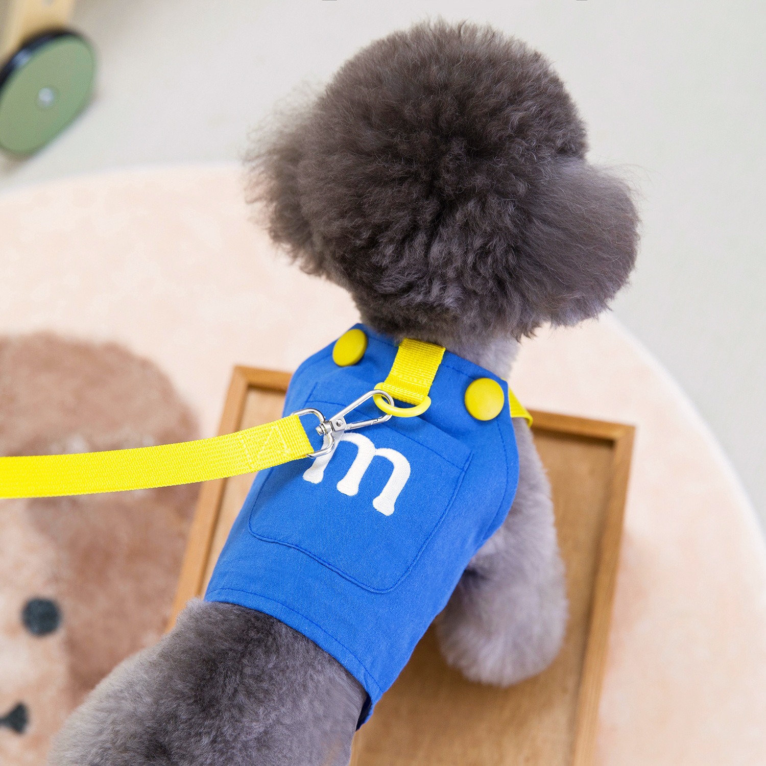 Blue Dog Harness Vest