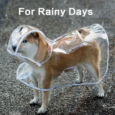 Clear Dog Raincoat