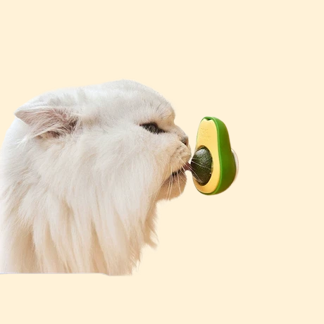 Catnip Ball Cat Treat