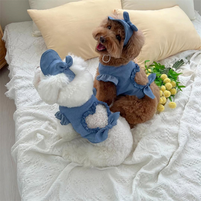 Small to medium-sized cats and dogs spring/summer 2-piece outfit