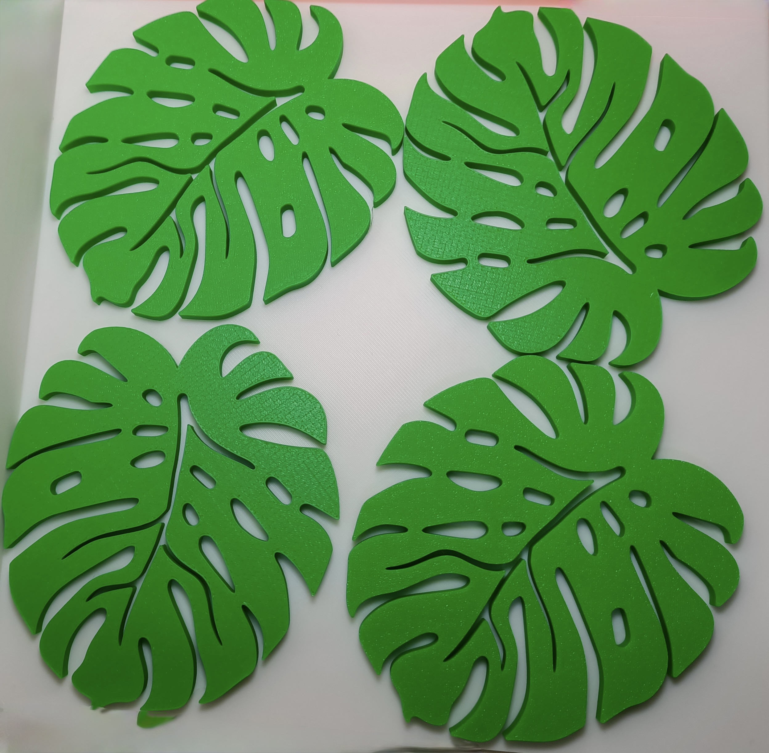 Monstera Leaf Coasters