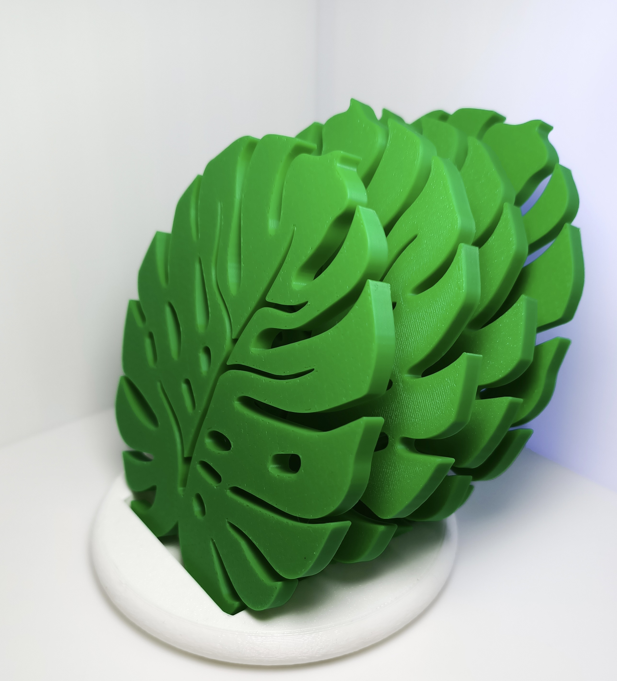 Monstera Leaf Coasters