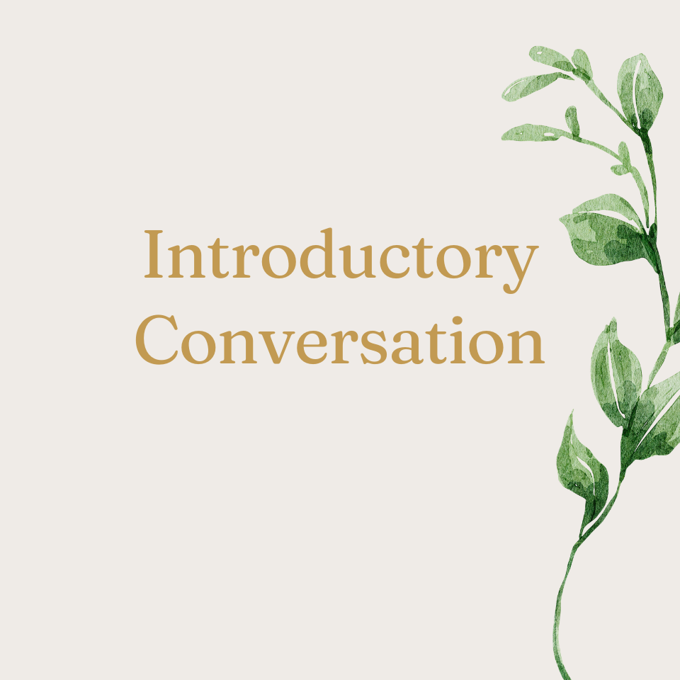 Introductory Conversation 