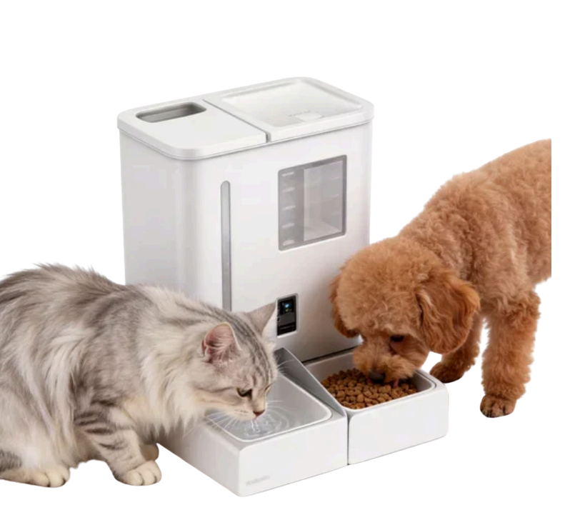 F03 Automatic Pet Feeder & Water Dispenser