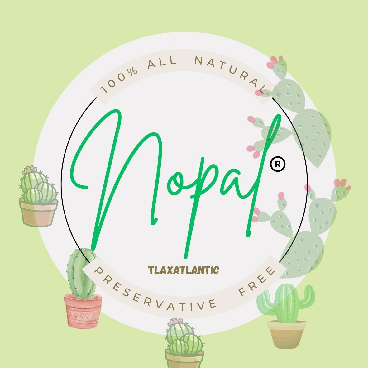 Nopal powder 30g