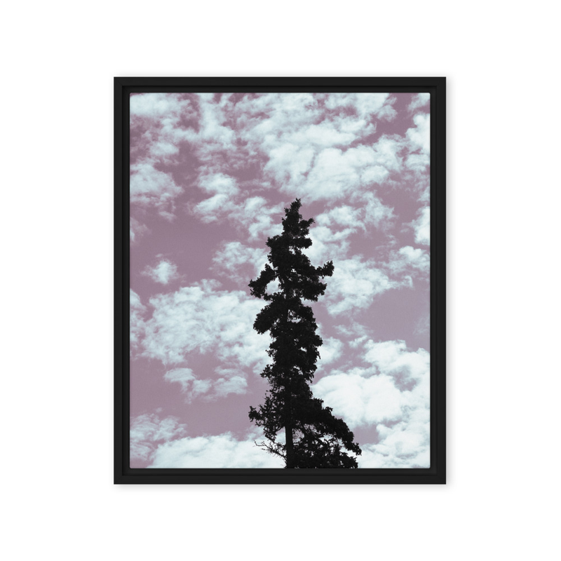 "Kincaid: Alone" | Anchorage, AK