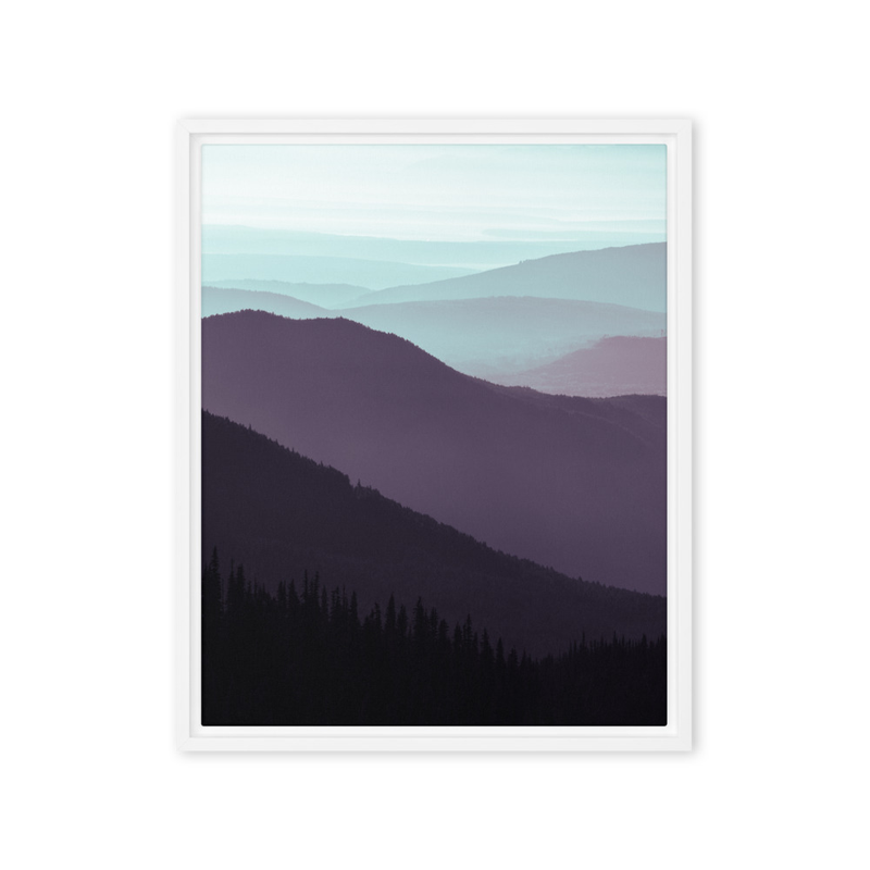"Fading" | Olympic National Park, WA